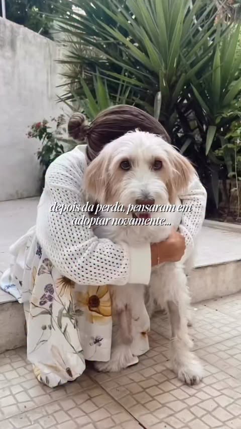 Instagram post by @inesrochinha for Barkibu Portugal. Caption reads: hoje não tenho dúvidas que tomámos a decisão certa....