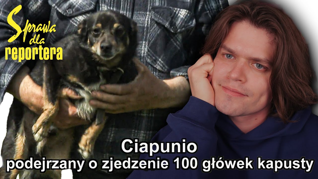 YouTube post by @dominikbos for Diablo Chairs. Caption reads: A CASE FOR A REPORTER IS A DIFFERENT UNIVERSE.