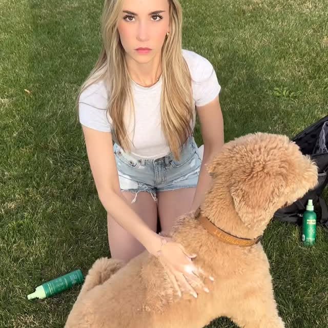Instagram post by @girlandadoodle for Chewy. Caption reads: Just the essentials.. 🙌🏼

Use my code OLIVER15....