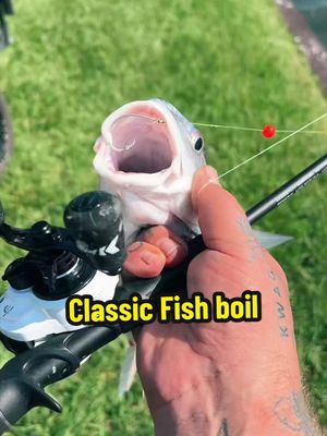 TikTok post by @wadefishez for KastKing. Caption reads: Catching my dinner with the @KastKingUSA....