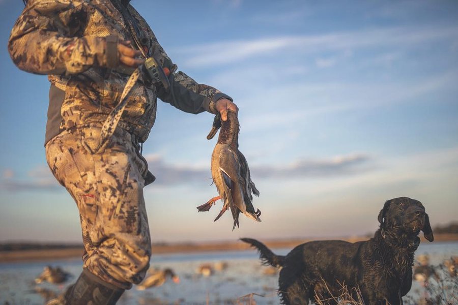 Instagram post by @hipster_woodsman for Gunner. Caption reads: Meat and curls #mallards #greenheads #thisiswhy....