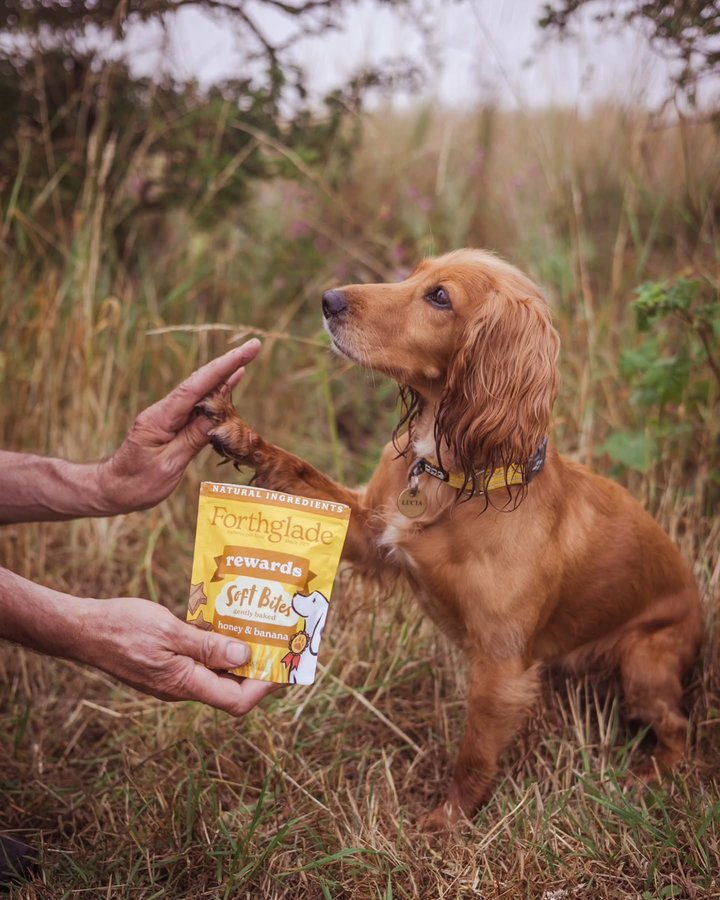 Instagram post by @woofwagwalk for Forthglade. Caption reads: [...] of us High Fiving 🙈 

If only @forthglade....