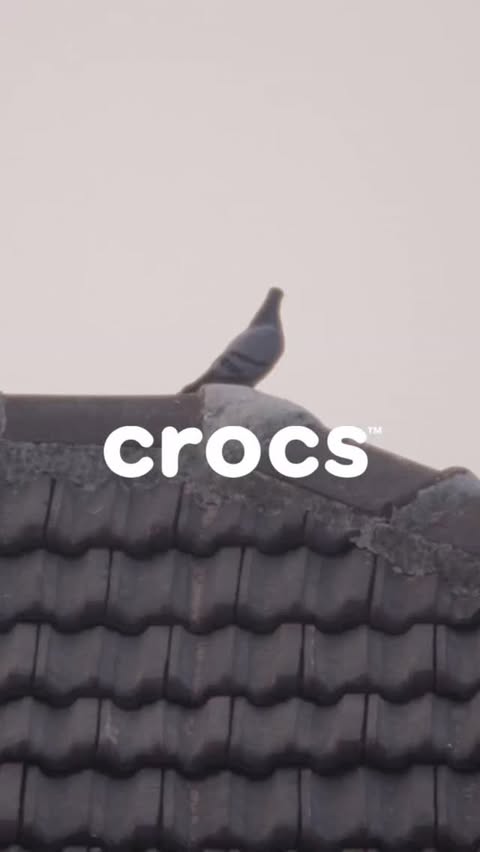 Instagram post by @sarcasmicin for Crocs. Caption reads: Crocs India just named Siddhant Chaturvedi the....