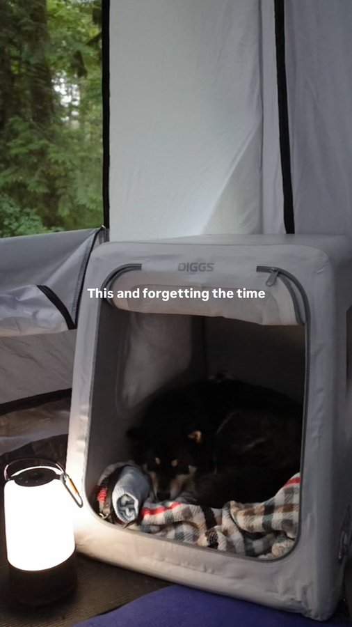 Instagram post by @ohmy.dogness for Diggs. Caption reads: [...] always bring the dog🫶🏻 . . . Featured....