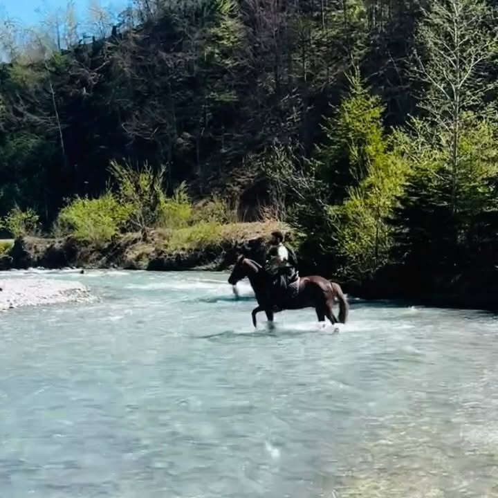 Instagram post by @ahmed_qadry_ for Travel + Leisure. Caption reads: Peace of mind isn’t quiet…
It’s wild air, muddy....