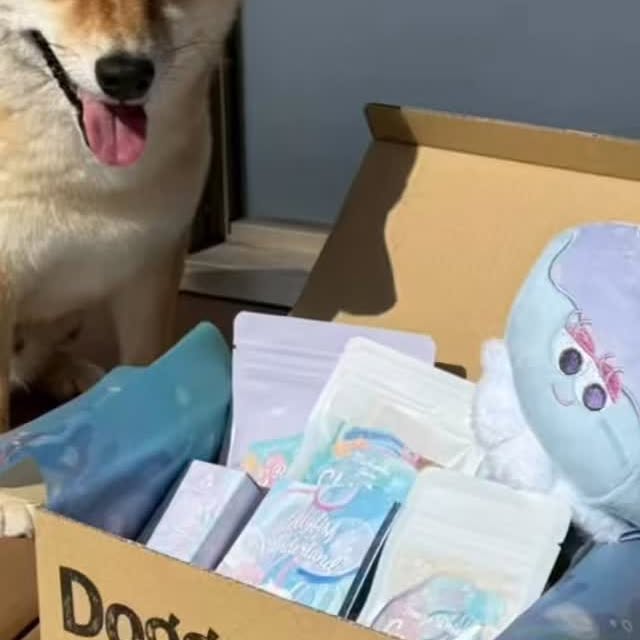 Instagram post by @potat0619 for Doggy Box. Caption reads: 海からクラゲさんが遊びに来てくれたわん🪼かわいいわん😍
きっとぽてとのお誕生日をお祝いに来てくれ....