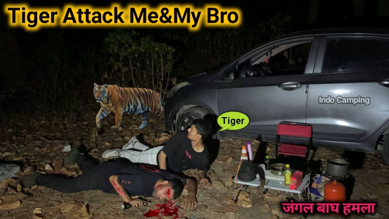YouTube post by @indocamping for BeaverCraft Tools. Caption reads: Royal Bengal Tiger 🐅 Attack Jungle Tiger Attack....