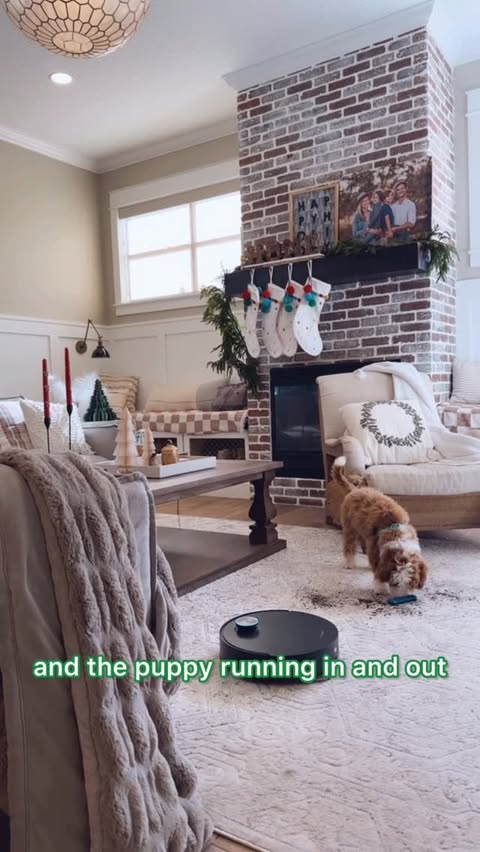 Instagram post by @raisingtwinboys for Dreame. Caption reads: Holiday hosting mode: ON… and our little furball....