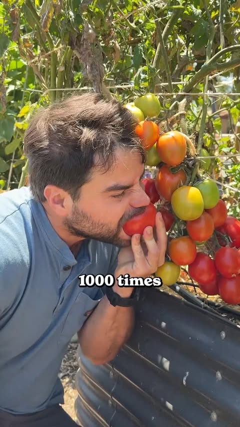 Instagram post by @jacquesinthegarden for Epic Gardening. Caption reads: [...] can feel overwhelming! So @epicgardening....