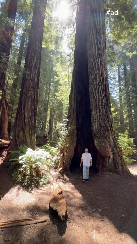 Instagram post by @counting.countries for Nature Valley. Caption reads: [...] with the National Park Foundation, Nature....