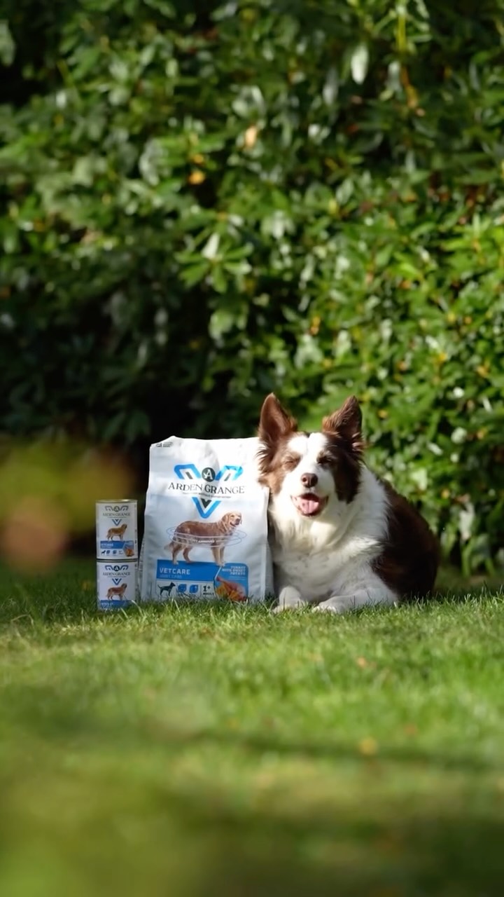 Instagram post by @pippaontheprowl for Arden Grange. Caption reads: AD |  @ardengrangeuk have just released their new....