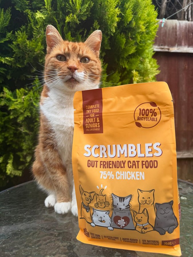 Instagram post by @the_ginger_tom for Scrumbles. Caption reads: Hi Pawsies, I’m looking forward to breakfast today....