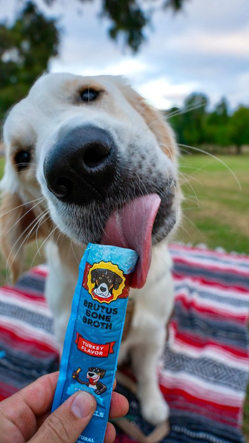 Instagram post by @lenwichthegolden for Brutus Broth. Caption reads: Warning, Brothcicles from @brutusbroth may cause....