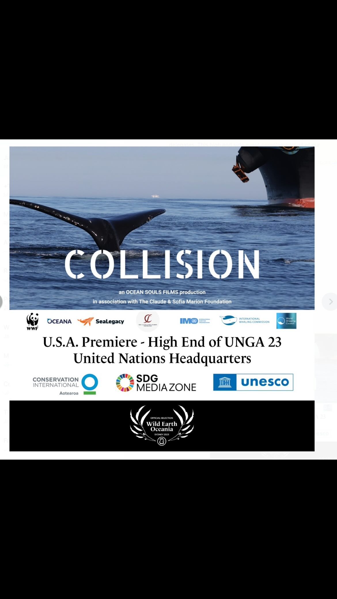 Instagram post by @wildearthoceania for UNESCO. Caption reads: WILD EARTH OCEANIA ON A MISSION TO SAVE WHALES....