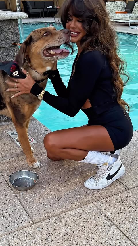 Instagram post by @sayalexiss for Native Pet. Caption reads: #Ad | Gifted by @nativepet 🤍 Ani is a medical....