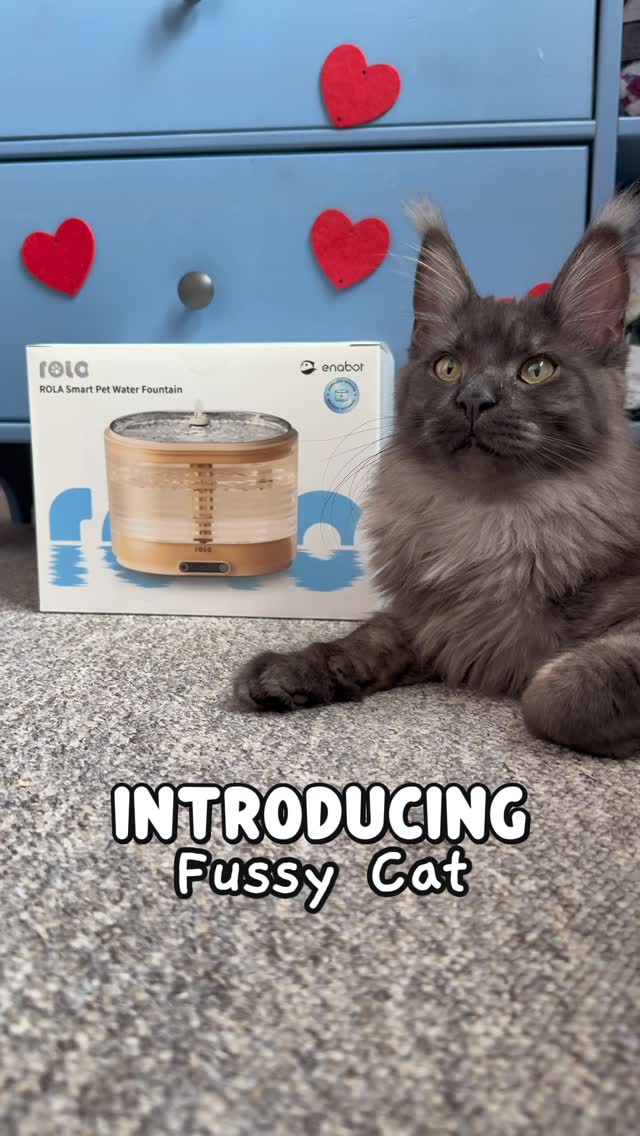 Instagram post by @kit.has.cats for Enabot. Caption reads: As Harvey trains to become my service cat, I’ve....