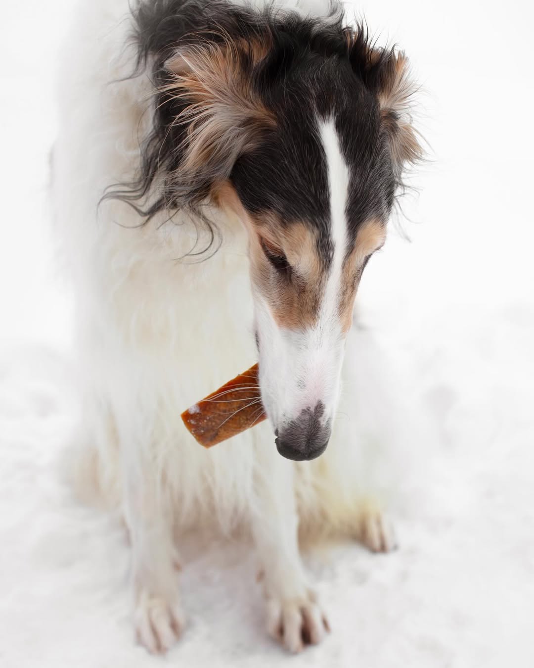 Instagram post by @zarwoe.oligarch for ESSENTIAL FOODS. Caption reads: Ad @essentialfoodsofficial 

What’s important when....