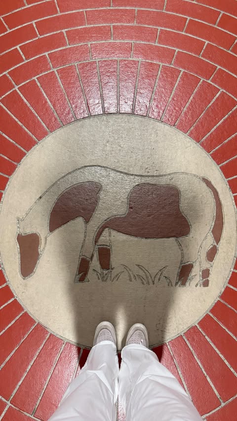 Instagram post by @kair_kyzy for HSN. Caption reads: [...] 2 Dogs, 1 Cat 🐾 & yes... I shed too 🙈....