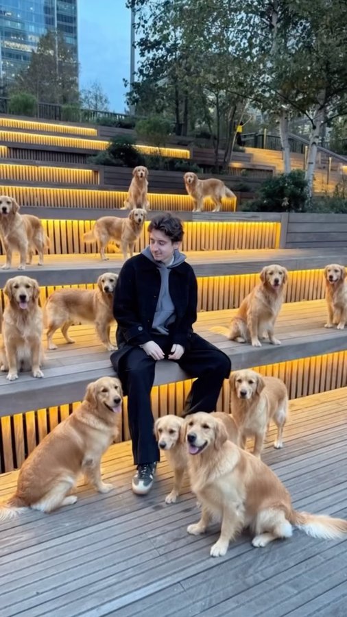 Instagram post by @griggen_ for Picsart. Caption reads: Fluffy Crew Photo Idea 🐕 #Picsart #picsartpartner....