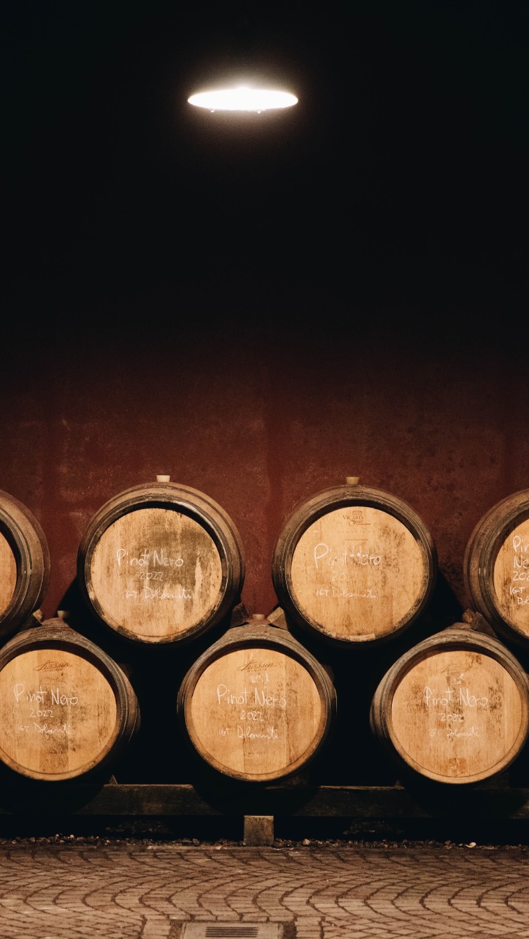 Instagram post by @gardatrentino for Visit Trentino. Caption reads: 🍇 The calm after the grape harvest.
In Trentino,....