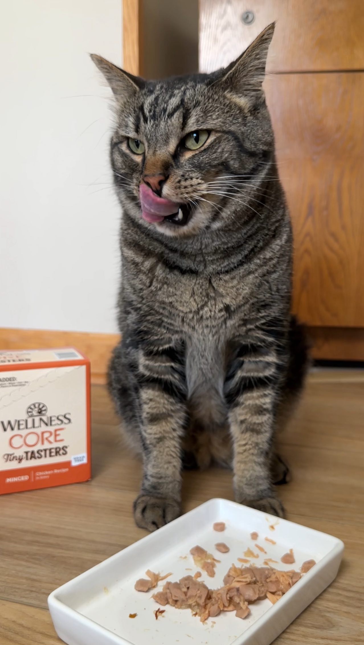 Instagram post by @chipthemanx for Wellness Pet Food. Caption reads: #ad | How are you planning to celebrate Happy....