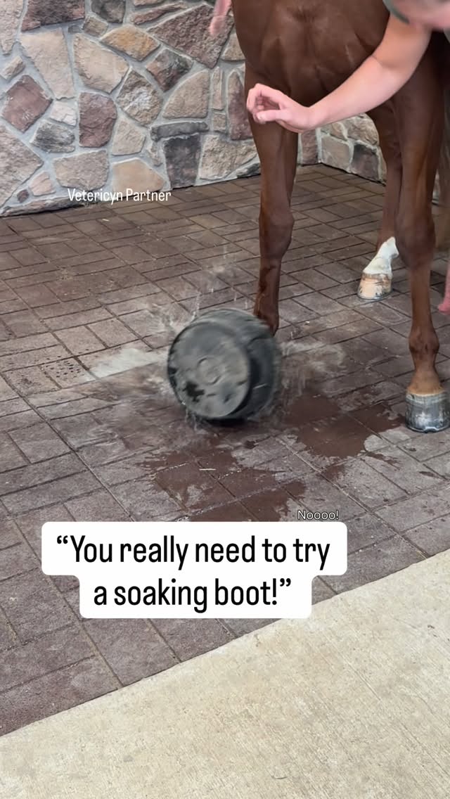 Instagram post by @doublezfarm for Vetericyn. Caption reads: #ad Does using a horse hoof soaking boot really....