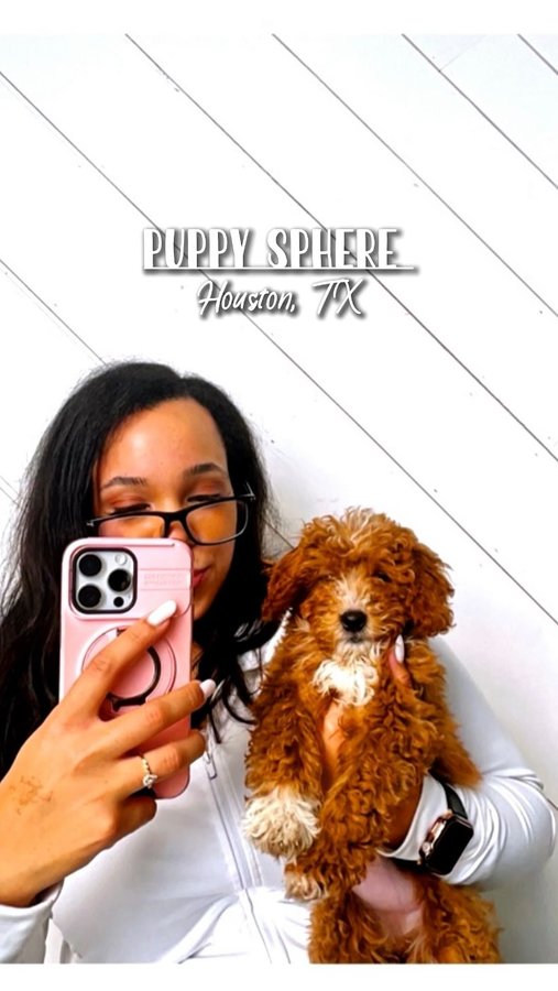 Instagram post by @del_cartier for Puppysphere. Caption reads: 🐶 Puppy Sphere: @thepuppysphere 
•
📍 Locations:....