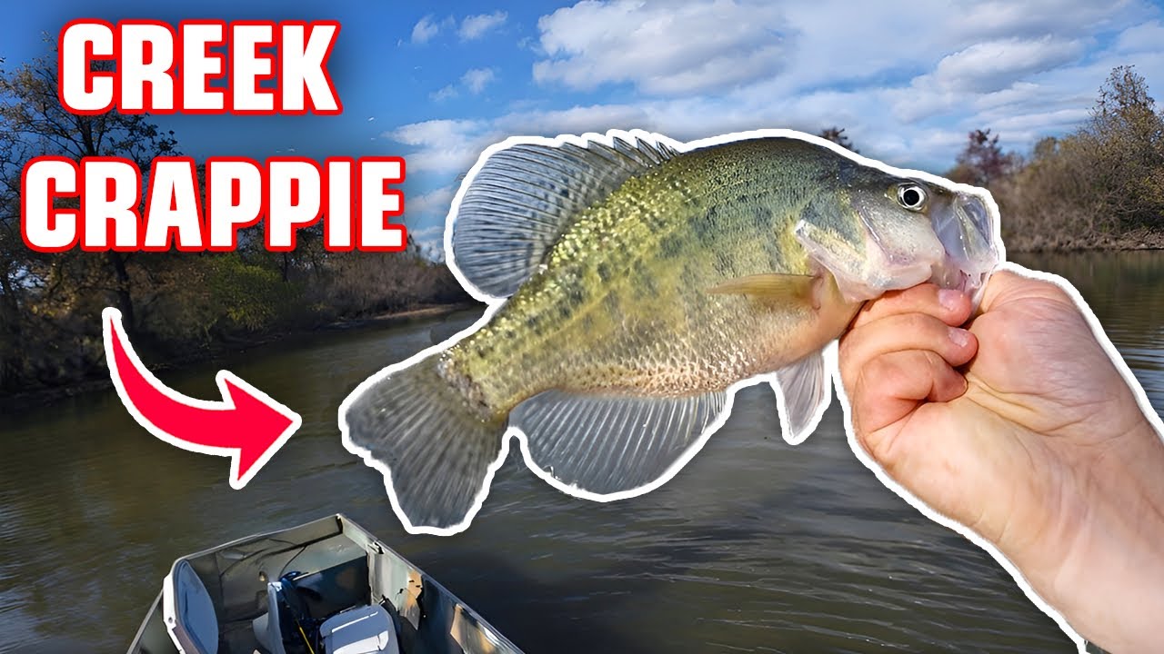 YouTube post by @903fishing for Piscifun. Caption reads: THIS TEXAS CREEK WILL BE LOADED SOON‼️DOUBLE JIG....