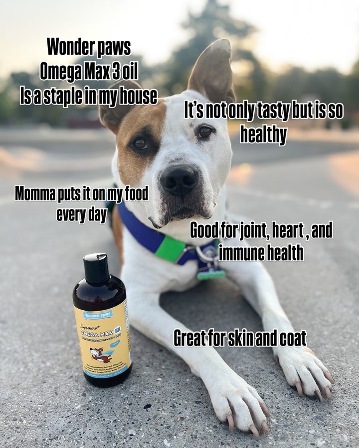 Instagram post by an influencer for Wonder Paws. Caption reads: [...] This is my 6th bottle of @mywonderpaws Omega....
