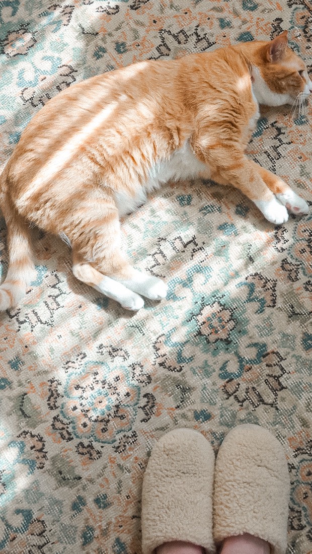 Instagram post by @kate_romanoff for Revival. Caption reads: My new one-of-a-kind @revival rug has found its....