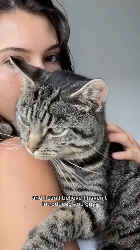 Instagram post by @roseannegarcia0 for KatKin. Caption reads: [...] my babies 😽 

I recently switched to....