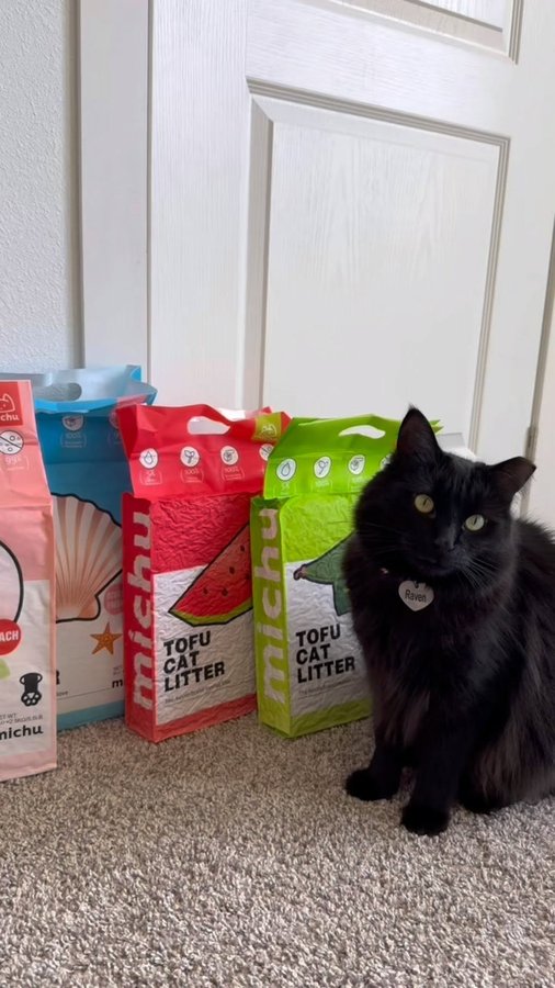 Instagram post by @chamberlain.casa.cats for MICHUPET. Caption reads: our cats love @michupet_usa tofu litter!

it’s....