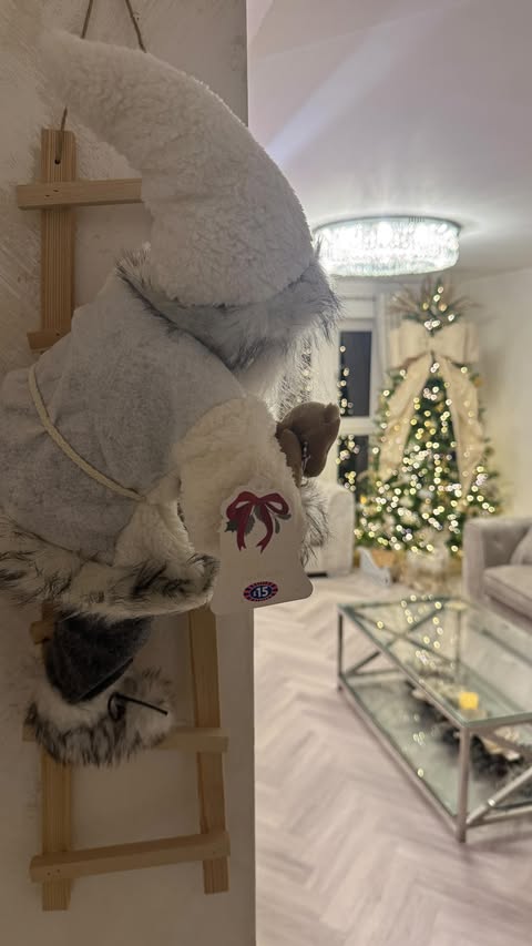 Instagram post by @peggyroseofficial for B&M Stores. Caption reads: ✨ It’s time for a bow-tiful Christmas thanks to....