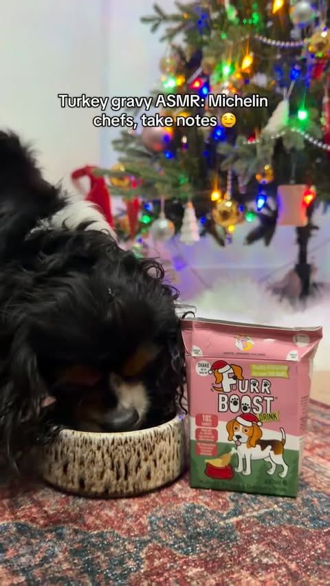 Instagram post by @ralphandkinder for Furr Boost. Caption reads: Holiday mode activated 🦃 . . . Featuring....