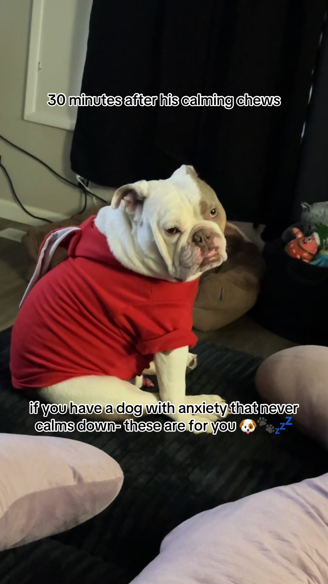TikTok post by @kai_thedogmother for Kradle. Caption reads: In @Kradle My Pet we trust 🐶🐾💤....