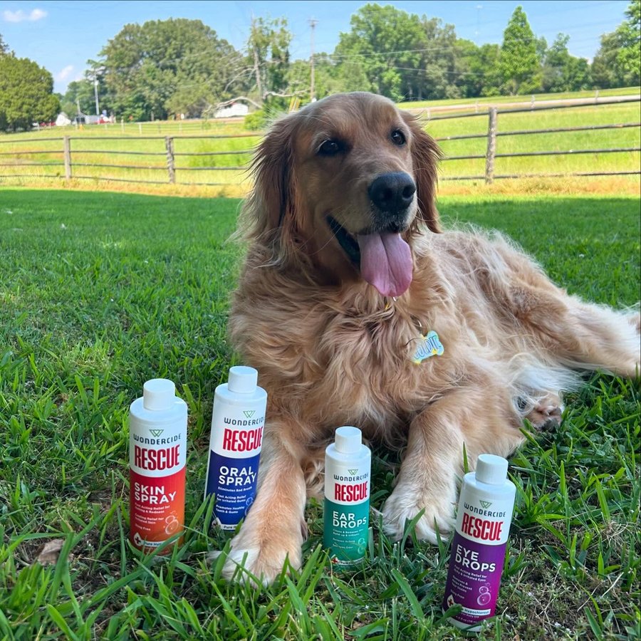 Instagram post by @farm_life_with_court for Wondercide. Caption reads: Goldie just got her paws on the new Wondercide....