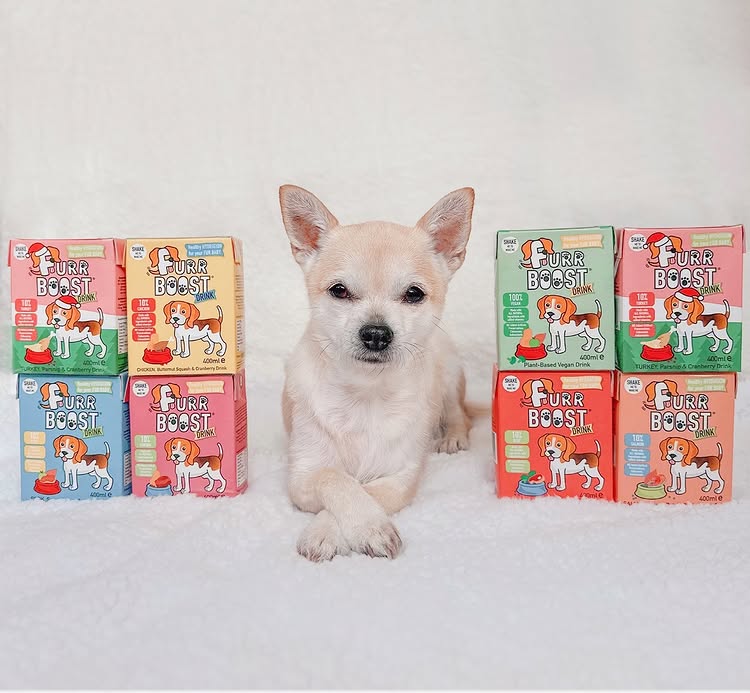 Instagram post by @bentleysbits for Furr Boost. Caption reads: 🐶🧃 𝗗𝗿𝗶𝗻𝗸 𝘂𝗽, 𝗽𝘂𝗽 🧃🐶 After all of the....