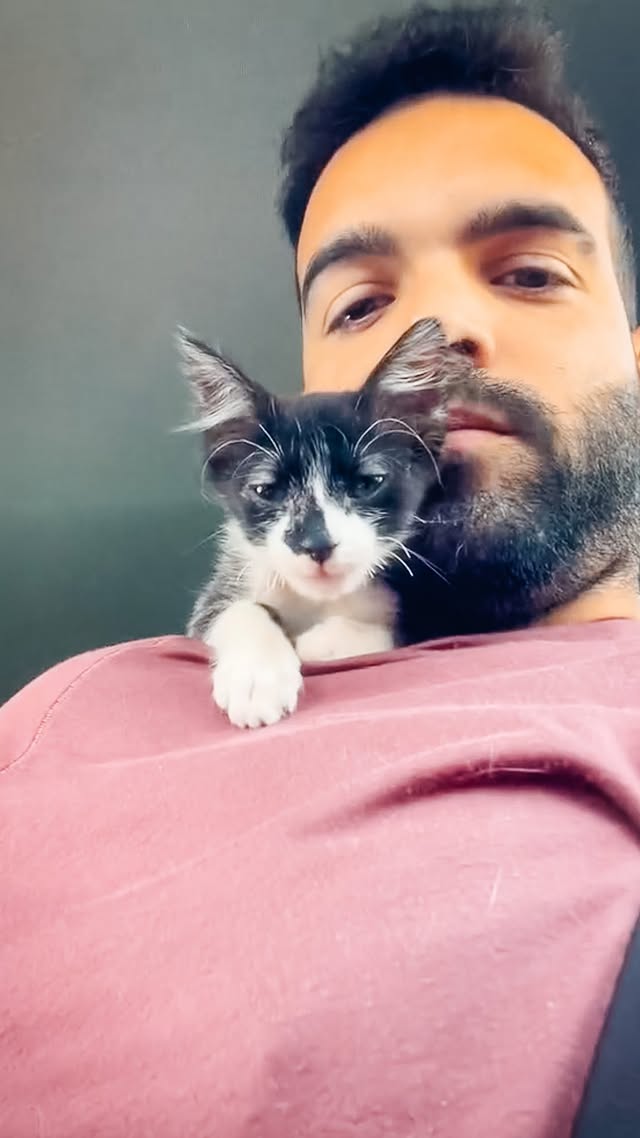 Instagram post by @theyasshouse for The Dodo. Caption reads: He has three whole apartments for his rescue cats…....