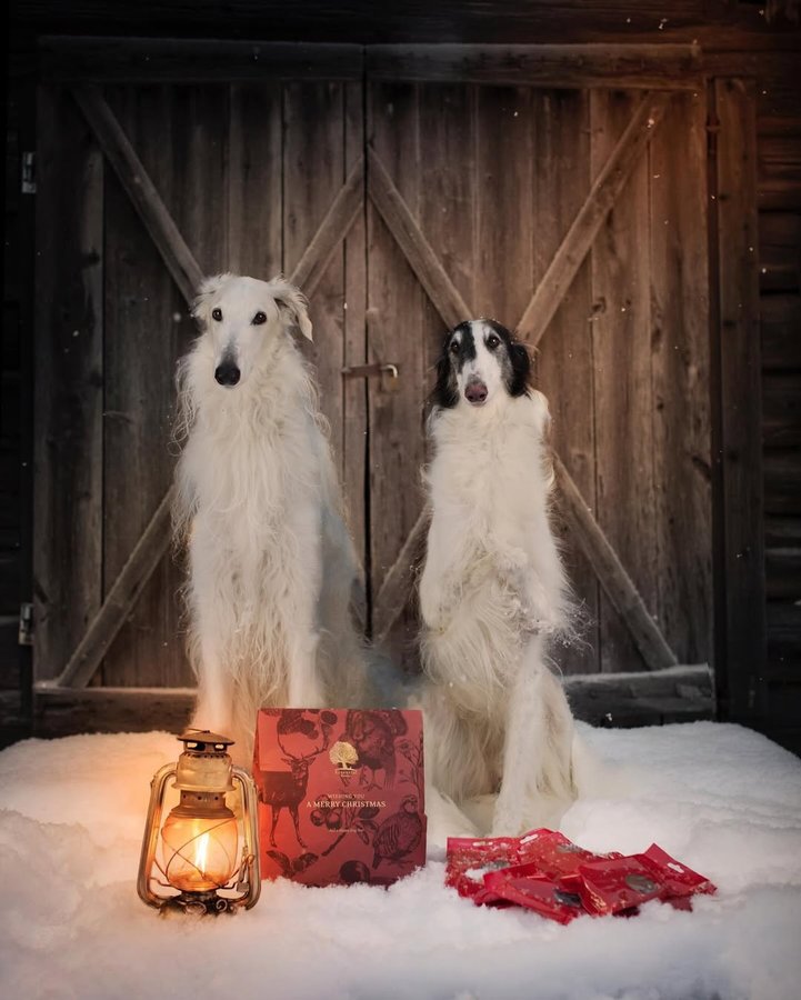 Instagram post by @zarwoe.oligarch for ESSENTIAL FOODS. Caption reads: (Ad) Happy first of December 🎄

Have you ordered....