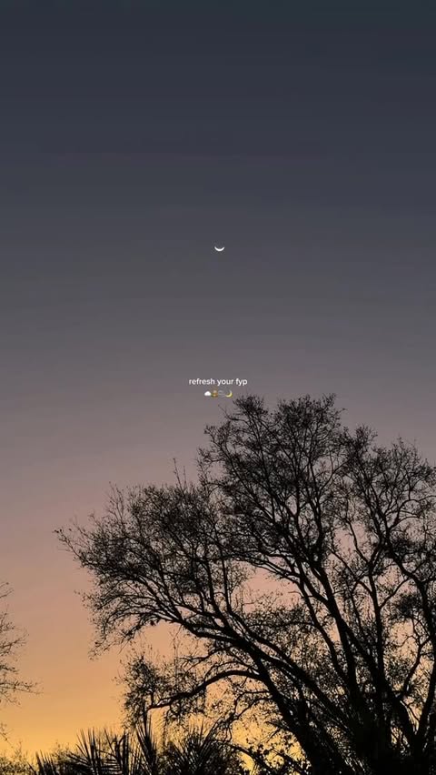 Instagram post by @elisapurrr for KBSPETS. Caption reads: [...] with my cat tree for jinxy & luna from....