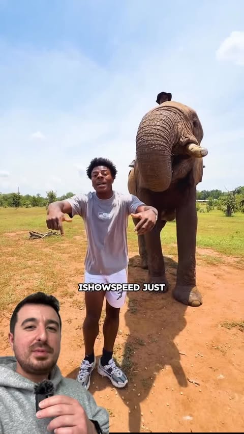 Instagram post by an influencer for Nike. Caption reads: [...] an Elephant in these shoes🤯 #nike365....