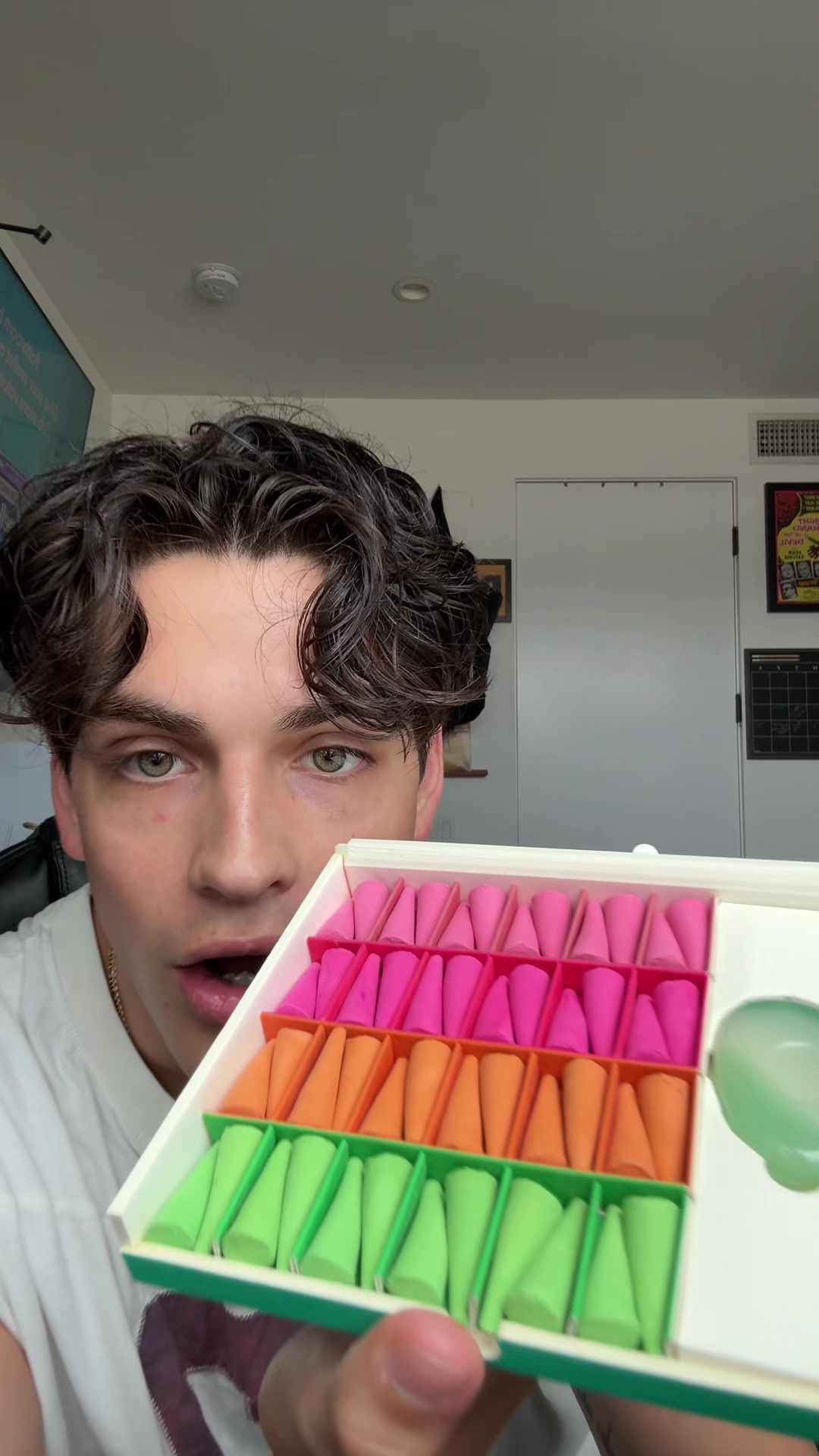 TikTok post by @itscamsworld for Ripple+. Caption reads: New incense from @Houseplant x @ripplehome #pr....