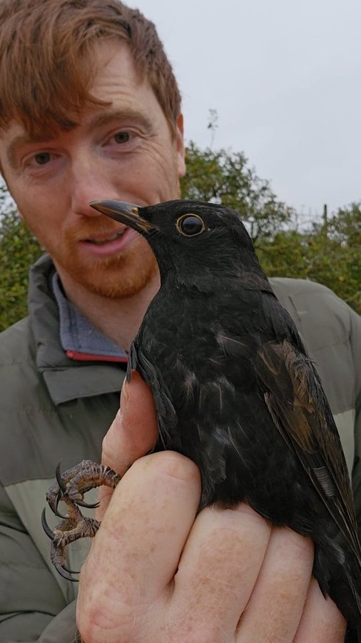 Instagram post by @jabaddams for Bolt. Caption reads: Blackbird or @bolt scooter?

Ad| It's the spring....