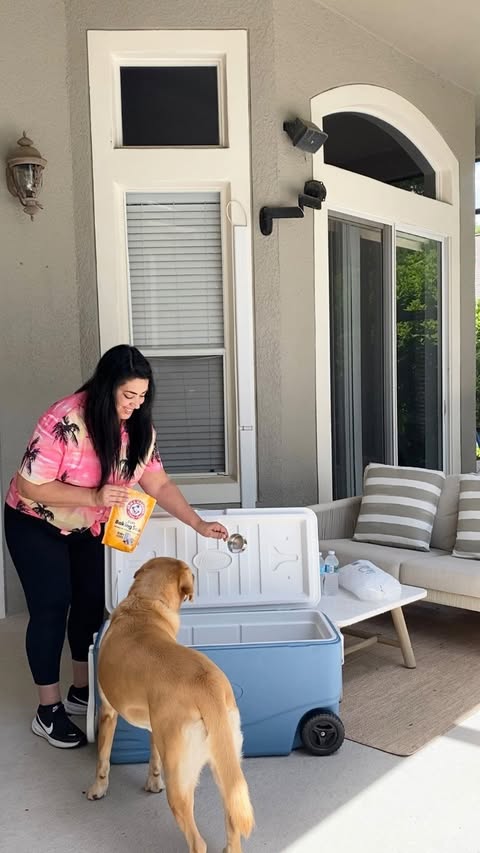 Instagram post by @teacherturnedmom for Arm & Hammer. Caption reads: (#ad) Summer days feel a whole lot easier when the....