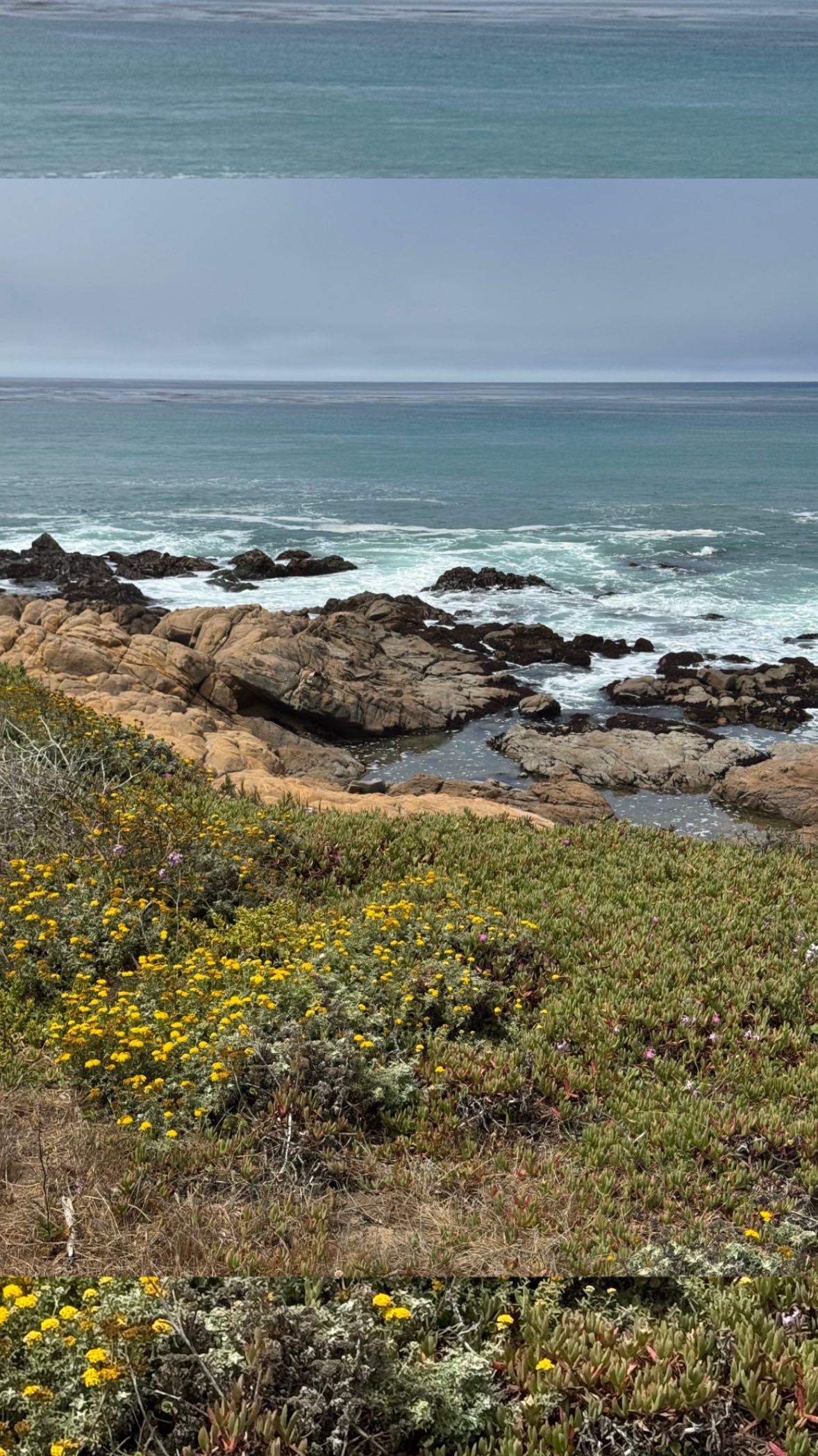 Instagram post by @emmawashere for NAKED nutrition. Caption reads: [...] ✨🍸 mocktail ingredients: @nakednutrition....