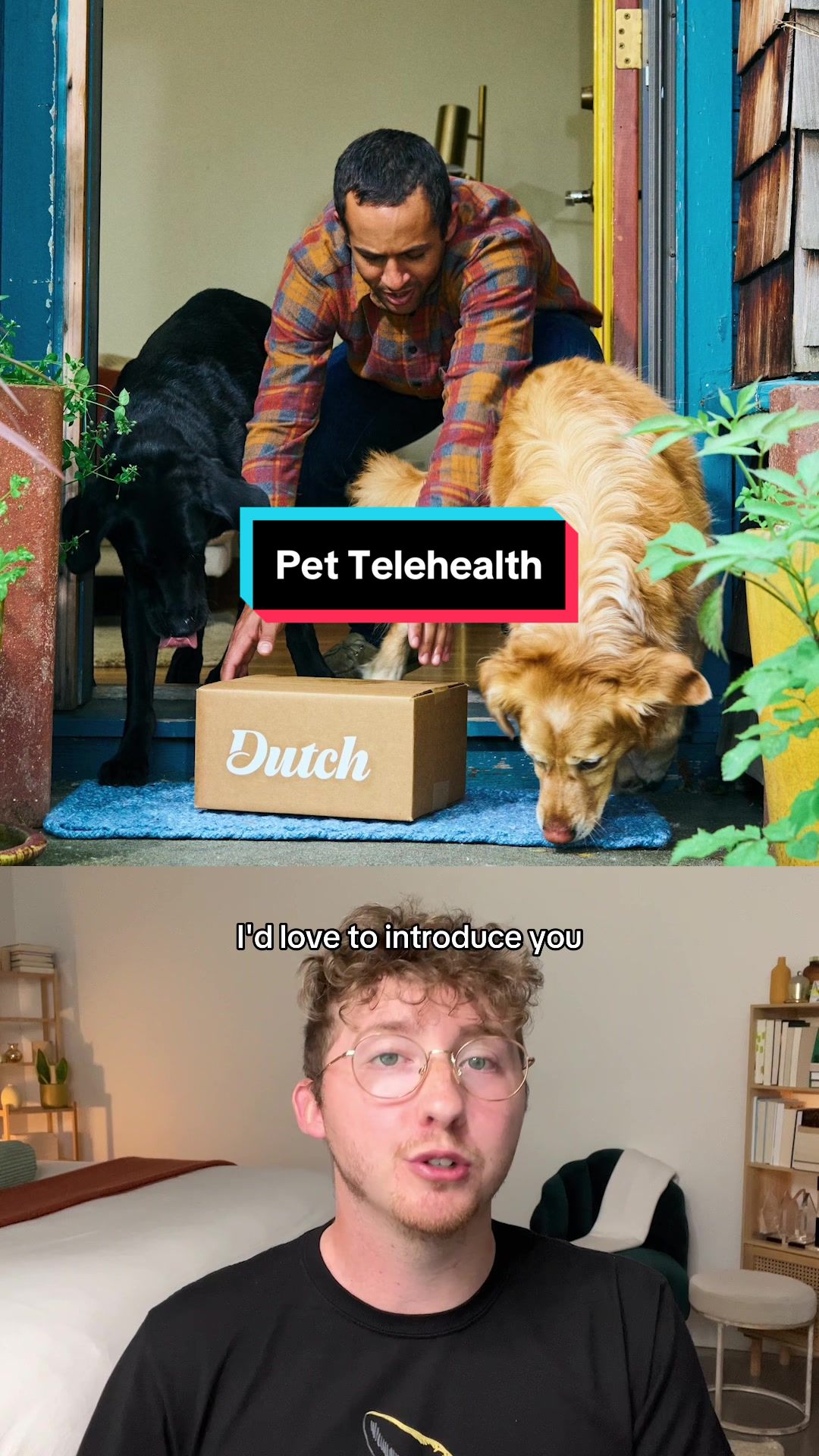 TikTok post by @weratedogs for Dutch. Caption reads: [...] as a treat if they've been good... @Dutch....