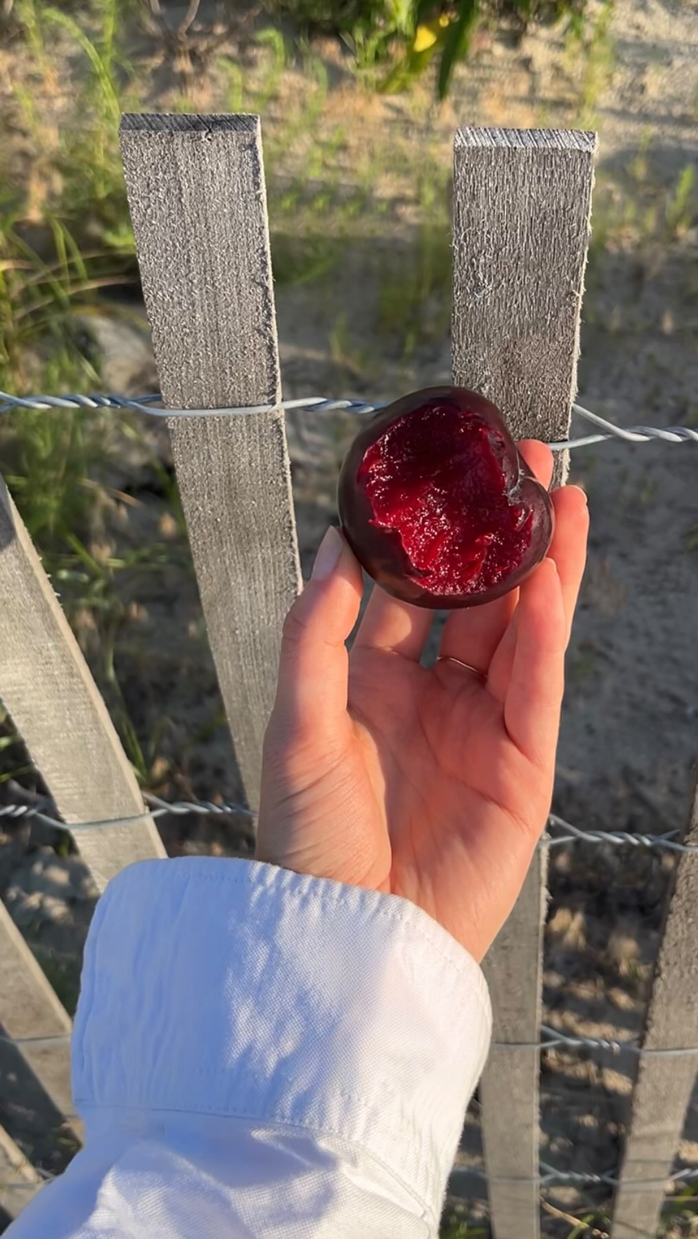 Instagram post by @annierose.nelson for Nike Swim. Caption reads: Peacefullllll beach days in @nikeswim #nikepartner....