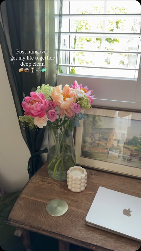 Instagram post by @elizabeth.louisee for Cleanipedia. Caption reads: [...] Turbo Blade fan - gifted pr Using....