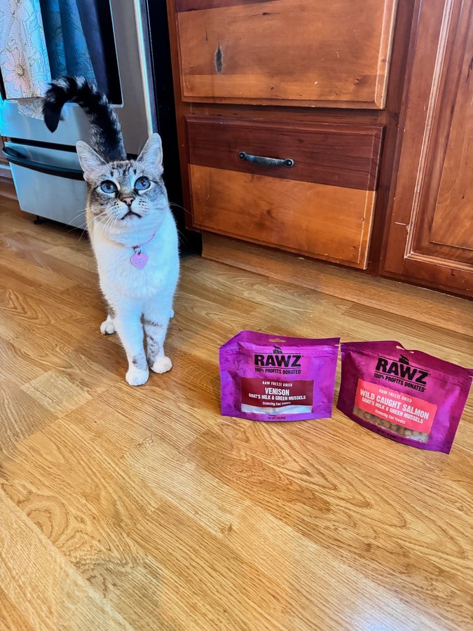 Instagram post by @everydayalonzo for RAWZ Natural Pet Food. Caption reads: Summer vibes are here, and so are some amazing new....