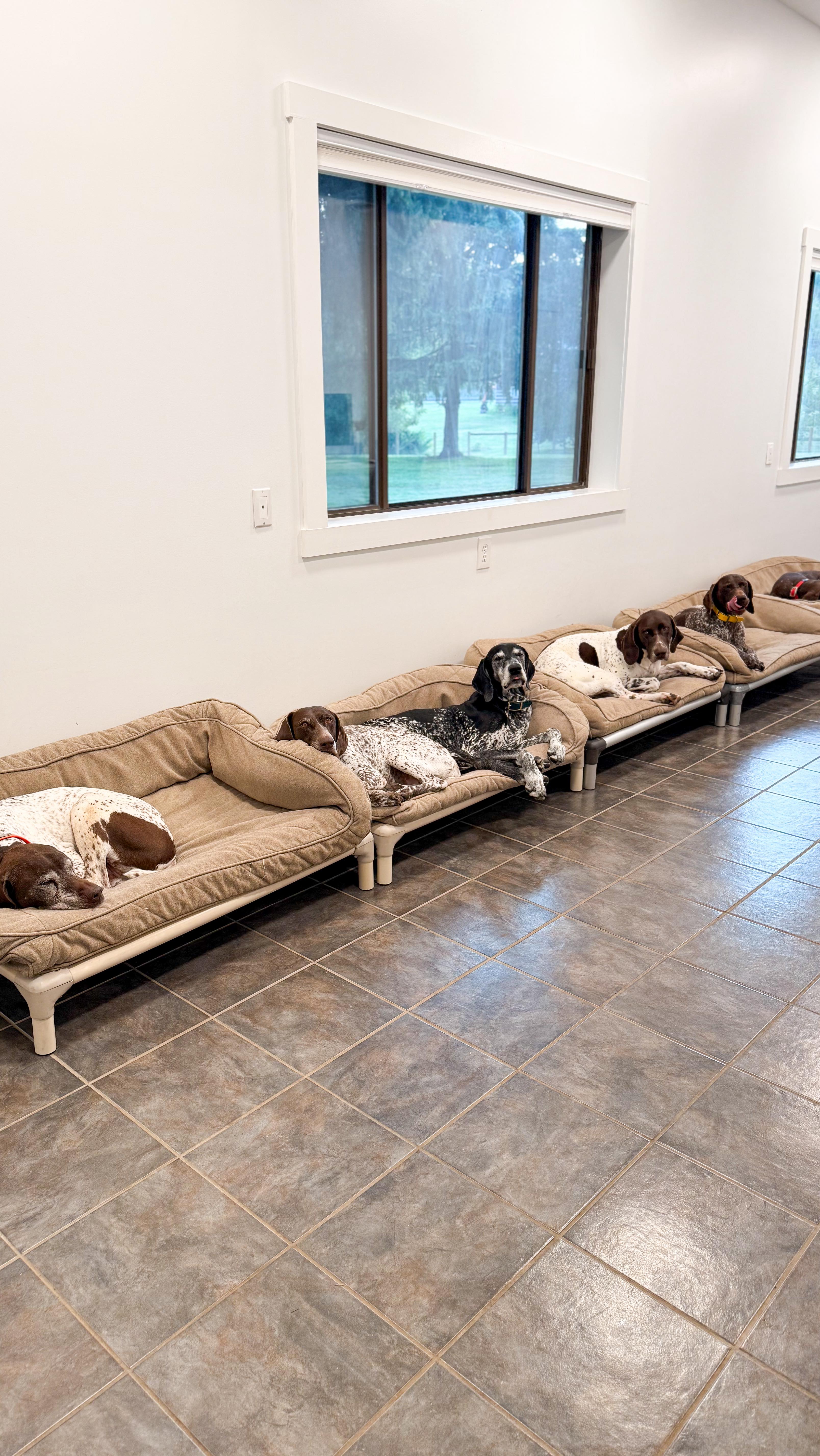 Instagram post by @cherileigh_ for Earth Rated. Caption reads: I always check our oldest guy’s bed—just in case....